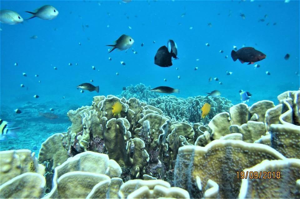 Pulau Weh Paradise Sabang  Exterior foto